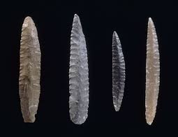 Image result for feuille-laurier-silex