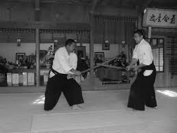 Image result for Iwama Shin Shin Aiki Shuren Kai