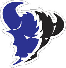 Image result for Basingstoke Bison Ice Hockey Club