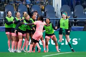 Image result for Gotham Soccer League