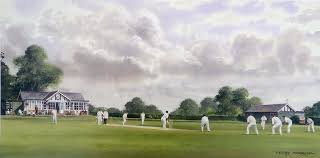 Image result for Theale and Tilehurst Cricket Club