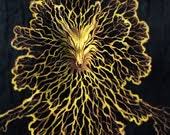 Attēlu rezultāti vaicājumam “Physarum obscurum spores”