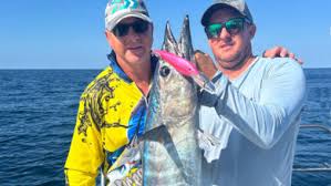 Image result for Polysteganus undulosus