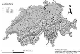 Attēlu rezultāti vaicājumam “Lestes virens”
