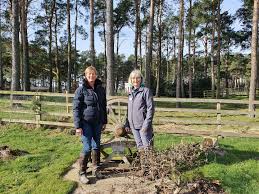 Image result for Nairn Disability Sport