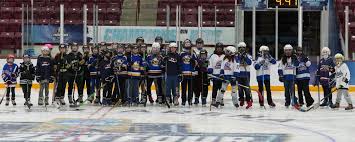 Image result for Adur Skater Hockey Club