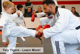 Image result for New Milton Taekwondo Club