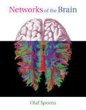 Image result for network of the brain