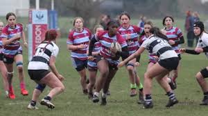 Image result for Wimbledon Rugby Football Club