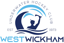 Image result for Tewkesbury and Cheltenham Underwater Hockey Club