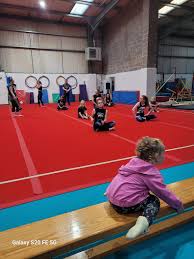 Image result for Sheredes Gymnastics Club