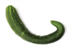 Image result for Gurke