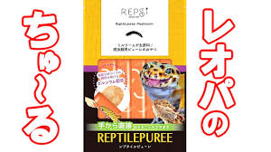 Image result for ごきぶりのピューレ