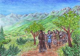 Image result for egedal tehron