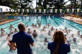 Image result for Tynedale Swimming Club