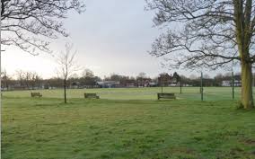 Image result for Cranleigh Cricket Club