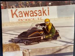 Image result for Sylvan Green 1981 Jaguar