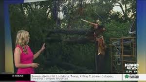 Image result for Halstead Cyclones