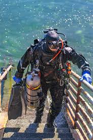Image result for Dive Crew Scuba Diving