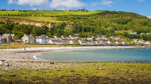 Image result for Ballymena Vandals