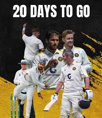 Image result for Mildenhall Cricket Club