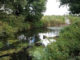 Image result for Crowthorne Angling