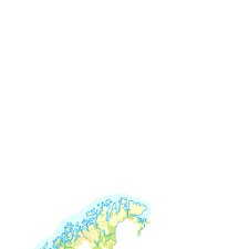 Attēlu rezultāti vaicājumam “Melilotus wolgicus”