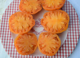 Afbeeldingsresultaat voor crnkovic yugoslavian tomato