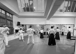 Image result for Aikido - Shobu UK