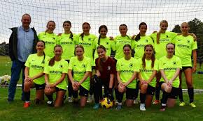 Image result for Hamilton Panthers Association Football Club