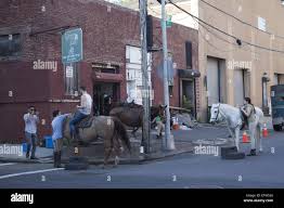 Image result for Old Park Riding Stables