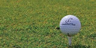 Image result for Cumberwell Park Golf Club