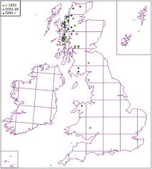 Attēlu rezultāti vaicājumam “Hygrohypnum luridum sporophyte”
