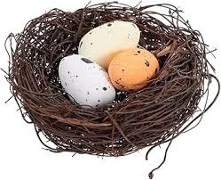 Attēlu rezultāti vaicājumam “nest”