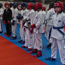 Image result for Bytomic Tae Kwon Do Beaconsfield