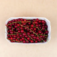 Bildergebnis für rote johannisbeeren