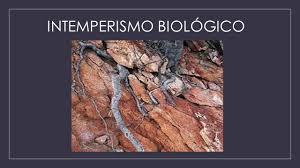 Image result for intemperismo