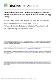 Attēlu rezultāti vaicājumam “Lacanobia contigua larva”