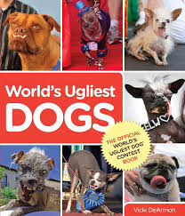 Image result for ugliest dog