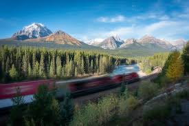 Résultat de recherche d'images pour "morant's curve"