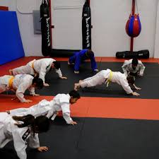 Image result for Surrey Ju - Jitsu Kick Boxing Club