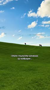 Image result for love windows xp wallpaper