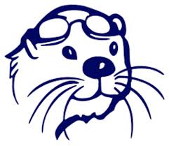 Image result for Cults Otters Amateur Swimming Club