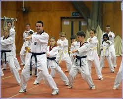Image result for North Wilts Taekwondo