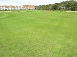 Image result for Weston Super Mare Golf Club
