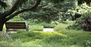 Image result for Arboretum Trompenburg