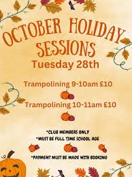 Image result for Blandford Forum Gymnastics & Kanga Club