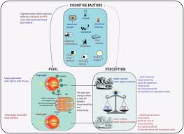 Image result for Unsworth Cc