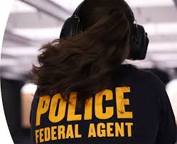 Image result for agent