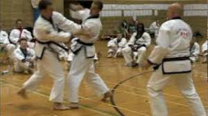 Image result for Tang Sou Dao Ren Yi Wu Kwan - Huntingdon